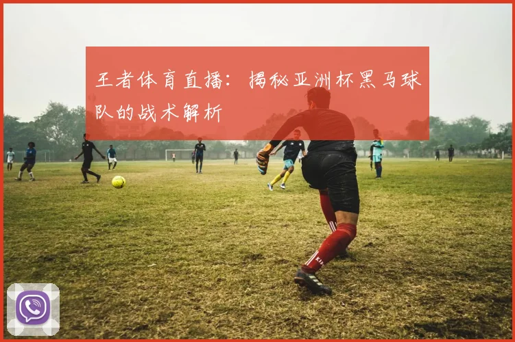 王者体育直播：揭秘亚洲杯黑马球队的战术解析