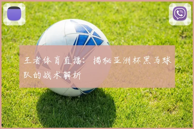 王者体育直播：揭秘亚洲杯黑马球队的战术解析