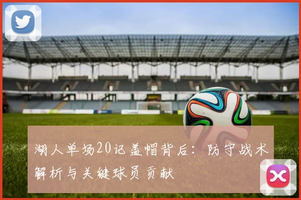 湖人单场20记盖帽背后：防守战术解析与关键球员贡献