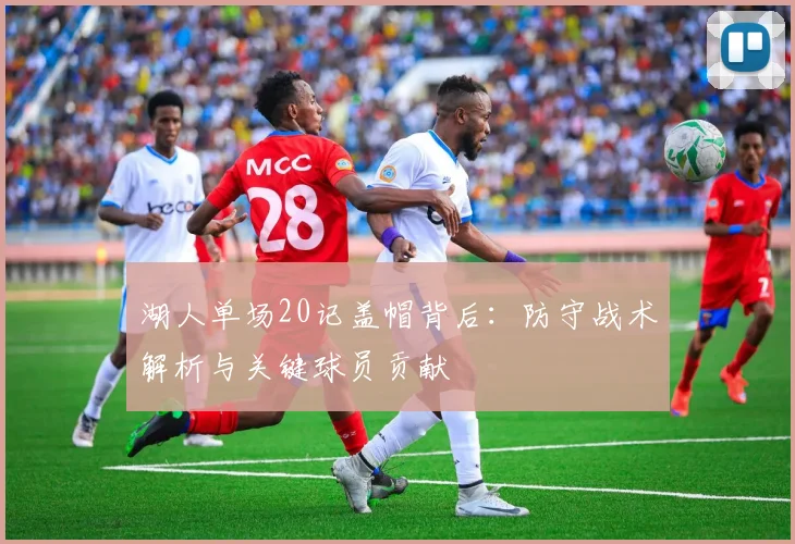 湖人单场20记盖帽背后：防守战术解析与关键球员贡献